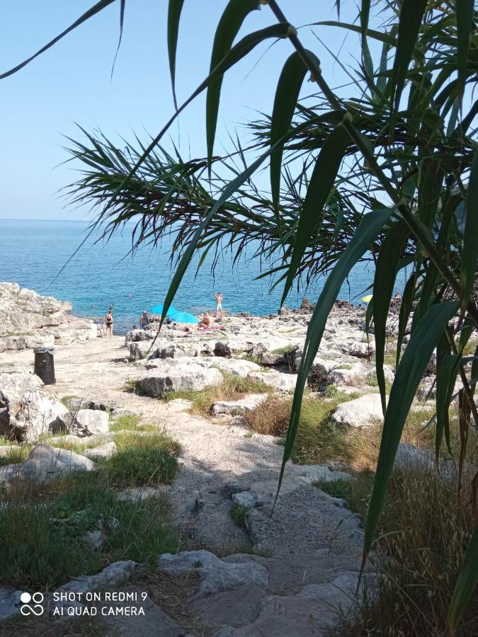 La Mennula Garden Salignano (Apulia) Exterior foto